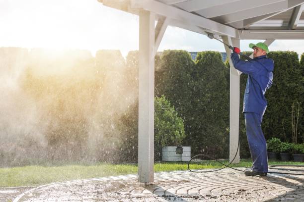 Professional Pressure Washing in Reed Creek, GA