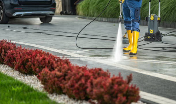 Best Driveway Pressure Washing  in Reed Creek, GA